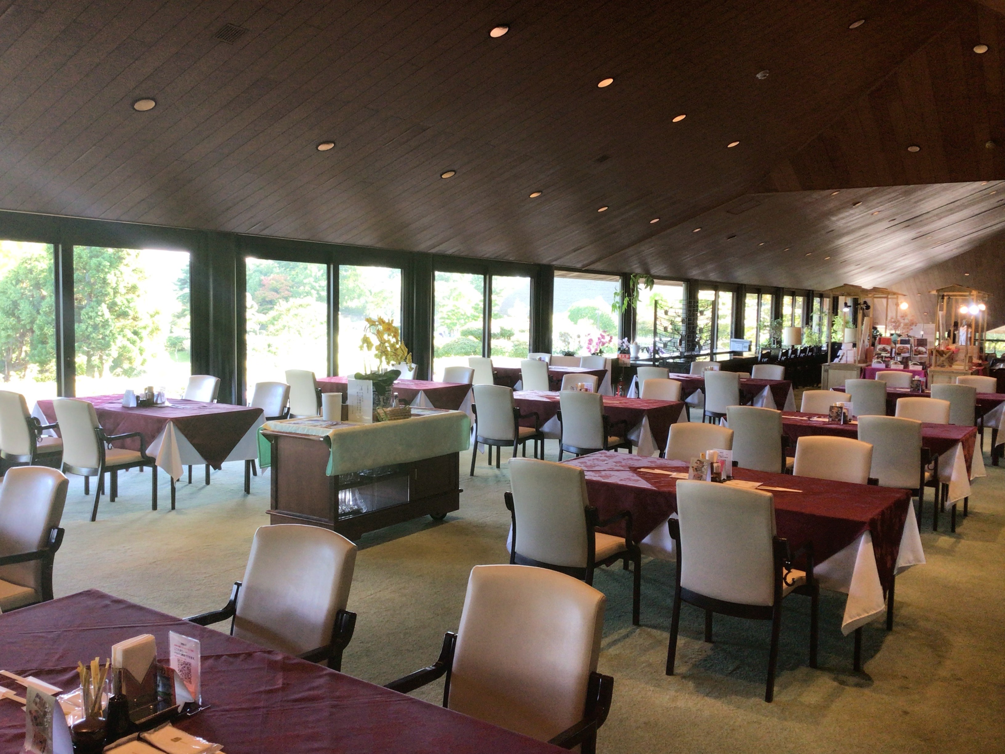 ディアIMG_0419 (1)